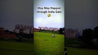 Moy Moy Happened through India Gate 🤣😂🤣misfielding moyemoye shortvideo explore mmw [upl. by Wadlinger678]