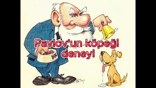 Pavlovun köpekleri deneyi  klasik koşullanma altyazılı  kısa anlatım ve animasyon filmi [upl. by Teteak]