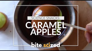 What’s really going on in caramelization Explore chemical changes through CARAMEL APPLES [upl. by Aener]