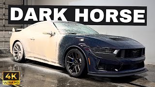 Dark Horse Foam Wash  Ford Mustang Auto Detailing Satisfying ASMR [upl. by Dusa587]