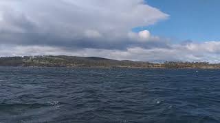 LancyFile澳洲TasmaniaFerry to Bruny Island [upl. by Carmen]