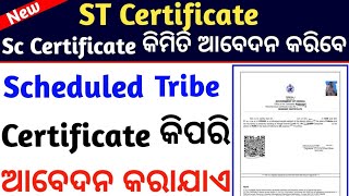 How to apply ST Caste Certificate In odisha  St caste certificate online apply Odisha [upl. by Dragone]