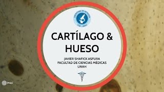 Lab de Histología FCM  UNAH  Cartílago y Hueso  Javier S Asfura [upl. by Eetnahs764]