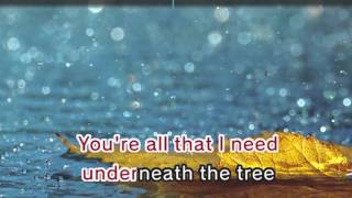 Kelly Clarkson  Underneath The Tree Karaoke and Lyrics Version [upl. by Fawcette]