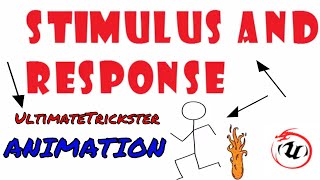 STIMULUS AND RESPONSE ANIMATION🐉🐉 [upl. by Nassah]