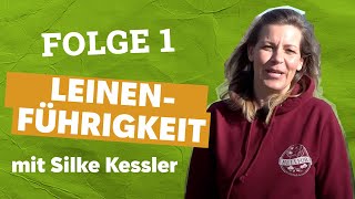 Hundezauber mit Silke Kessler  Folge 1  Leinenführigkeit [upl. by Nasas295]