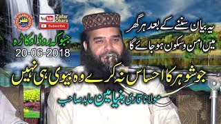 Nice Speech By Qari Binyameen Abid Topic Biwi Kesi Ho  2018  zafar Okara [upl. by Awra205]