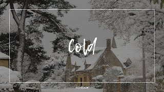 Cold  The Oh Hellos lyrics [upl. by Negem]