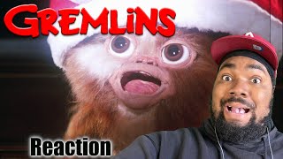 Gremlins REACTIONFIRST TIME WATCHING [upl. by Alaet]