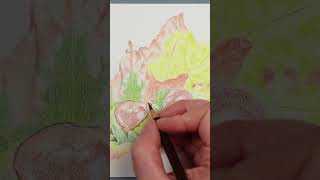 My Coloured Pencil Drawing Process Art Tips colorpencil arttips drawing beginnersdrawing [upl. by Gavini]