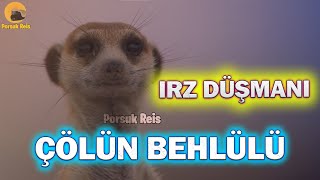 BU IRZ DÜŞMANI AŞİRET REİSİNİN KIZINA GÖZ DİKTİ  Komik Belgesel porsukreis [upl. by Aveline]