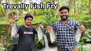 Trevally Fish Fry  பாறை மீன் வறுவல்  Tapioca மரவள்ளி கிழங்கு  Cooking With Friends [upl. by Ial]