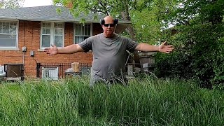 Homeowner SHOCKED at BACKYARD TRANSFORMATION [upl. by Whit350]