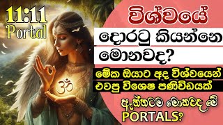 විශ්වීය දොරටුවක් යනු කුමක් ද What is a portal [upl. by Rosenblast760]