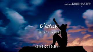 Dígale  David Bisbal  letra [upl. by Dimitri665]