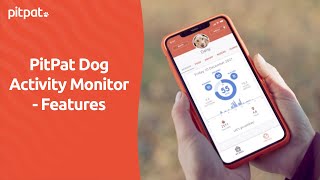 PitPat Dog Activity Monitor  Features [upl. by Singband390]