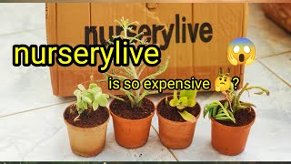 nurserylive plants unboxing Review succulents adenium naturelover [upl. by Adev]