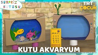 Sürpriz Kutusu  Kutu Akvaryum [upl. by Hut]