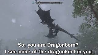 quotWhat Did Alduin Said When You First Met Himquot [upl. by Hanson]