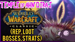 Temple of AhnQiraj AQ40 Classic WoW Guide 👁️ DUNGEON DIVES [upl. by Oinotla]