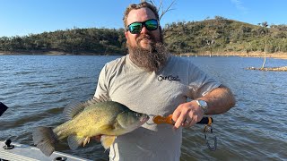 The ups and downs of fishing at burrendong dam [upl. by Nahsin]