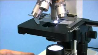 OMAX 40X2000X Biological Compound Microscope with Mechanical Stage and LED Light [upl. by Annauqal]