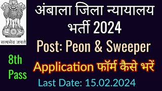 Application Form District Court Ambala Recruitment 2024 [upl. by Yretsym]