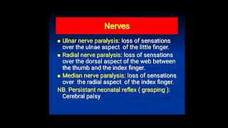 pediatric general examination XIIIIupper limbs [upl. by Eiraminot]