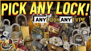 Pick EVERY Type of Lock [upl. by Meekar250]