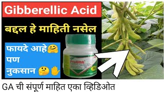 जिब्रेलिक एसिड Gibberellic Acid चे फायदे आहे की नुकसान 🤔 [upl. by Nike367]