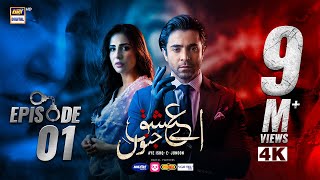 Aye Ishq e Junoon Episode 1  Ushna Shah  Sheheryar Munawar  11th Nov 2024 Eng Sub  ARY Digital [upl. by Aicilihp]