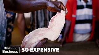 How Chinese Demand For Fish Maw Swim Bladder Fuels A 52 Million Industry In Uganda  So Expensive [upl. by Sirahs]