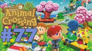 Lets Play Animal Crossing New Leaf  77  Sunday Funday 1080p gameplay [upl. by Inol]