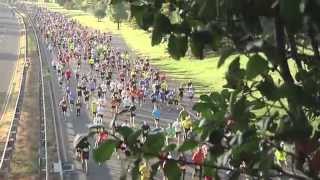 The 30th Annual Army TenMiler [upl. by Questa265]