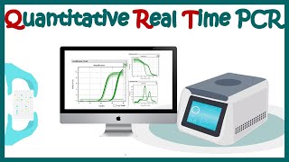 Quantitative real time PCR qPCR [upl. by Stephine]