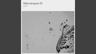 Mikroskopie 308 [upl. by Oys]