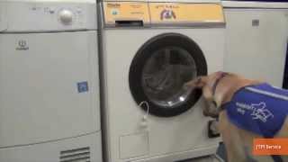 Incredible Washing Machine Lets Dogs Do Laundry [upl. by Jeminah]