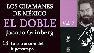 13 La estructura del hipercampo  Los chamanes de México Vol 7  Jacobo G  Voz Chavenato [upl. by Gardie]