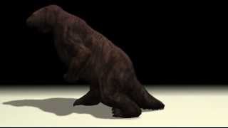 Megatherium Walk Animations [upl. by Halonna]