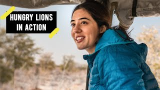 Meeting Hungry Lions EP03  Namibia Africa Travel Series  Etosha National Park  Tanya Khanijow [upl. by Anipsed]