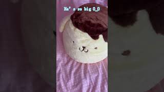 Mercari Japan haul cutecore sanrio kawaii cinnamoroll [upl. by Yolane]