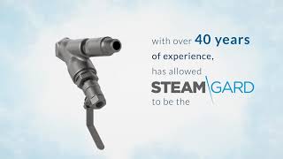 Steamgard Venturi Steam Trap Animation [upl. by Ylac]