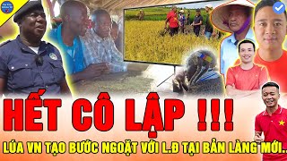 🔴Team Quang Linh Vlogs KHIẾN HÀNG NGHÌN NGƯỜI DÂN CHÂU PHI KHÓ TIN NGỠ CÂY LÚA NƯỚC VIỆT LÀ CÂY CỎ [upl. by Eidarb]