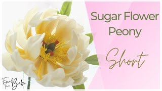 Sugar Flower Peony ⎸ Gumpaste Peony Flower ⎸ Handmade Flowers shorts [upl. by Hanahs]