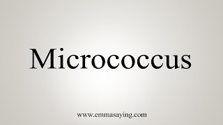 How To Say Micrococcus [upl. by Anella]