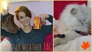 SWEATER WEATHER TAG  My Fall Favourites ENGLISH [upl. by Ahsineb300]