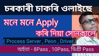 Grade 4 Job  Process Server Peon amp Driver Job  8 Pass 10 Pass amp Graduate  Government Job 🥰🥰🥰 [upl. by Frechette]