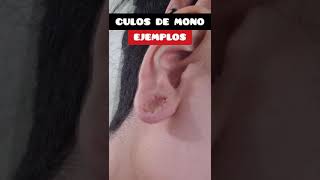 🔴 ¿QUE SON LOS CVLOS DE MONO EN LAS OREJAS DILATADAS dilataciones expansiones piercings [upl. by Ahseenal11]