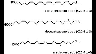 structures of Polyunsaturated Fatty acid Linoleic Alphalinolenic Eicosapentaenoic Docosahexaenoic [upl. by Fanechka354]