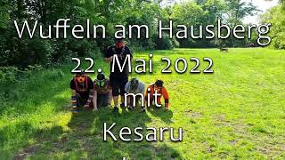 PUPPLAY Training auf dem Hausberg 22052022 final [upl. by Hermosa]